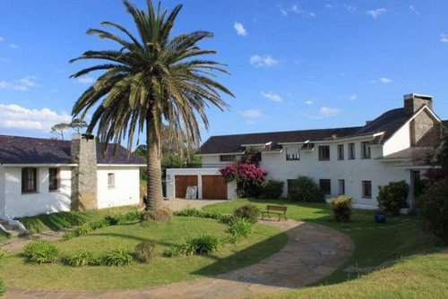 Imagen 3 de 17 de Casa En Venta De 4 Dormitorios En Playa Mansa (ref: Lij-978)