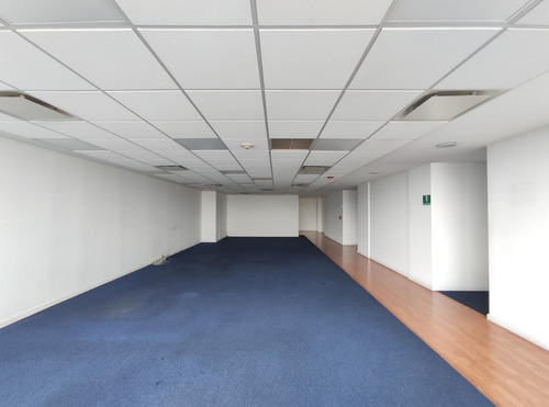 Oficina En Renta -reforma Piso 10- 214 M2
