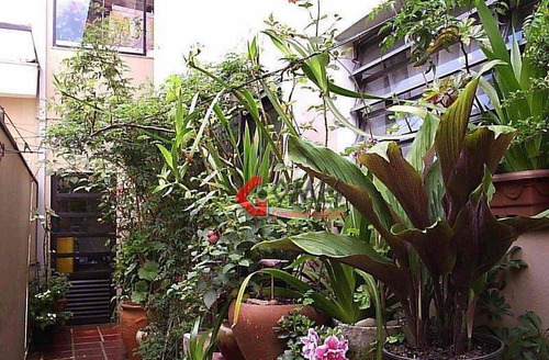 Imagem 17 de 18 de Sobrado Residencial À Venda, Jardim Andrea Demarchi, São Bernardo Do Campo. - So0813
