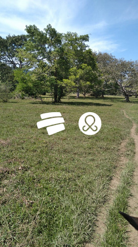 Venta Finca San Jose Del Guali-lerida-tolima