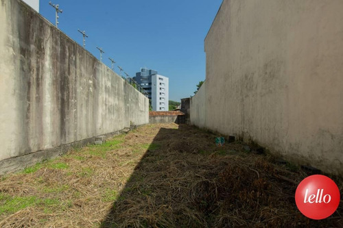 Imagem 7 de 11 de Terreno - Ref: 240727