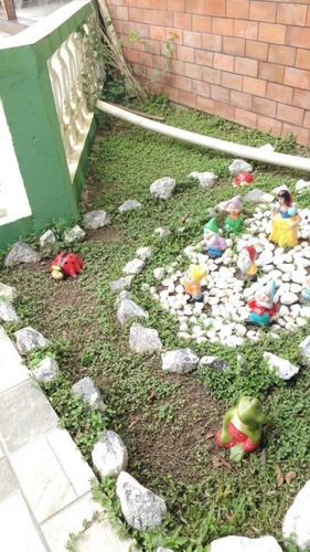 Imagem 10 de 15 de Chácara Em Juquitiba - Mv5202