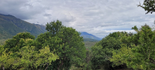 Imagen 5 de 10 de Lote En Los Hornillos Escritura Y Servicios