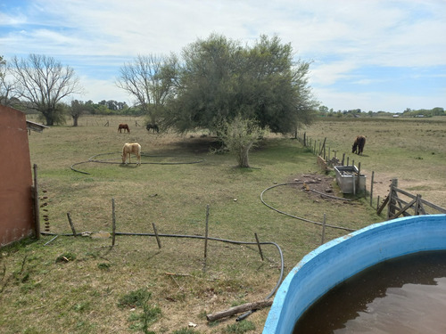 Chacra 10 Has 2 Casas, Vestuarios, Tanque Australiano En Jeppener