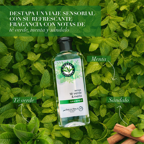 Herbal Essences Detox Té Verd 400ml Shampoo + Acondicionador