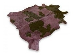Imagen 4 de 6 de Alfombra Cuero De Vaca Teñido Con Pelo. Tamaño X X L
