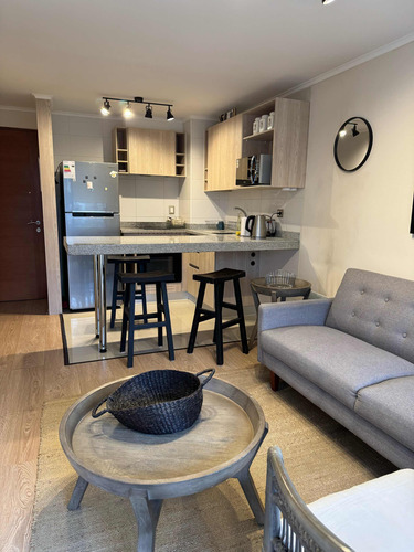 Hermoso Departamento De Un Dormitorio En Villarrica