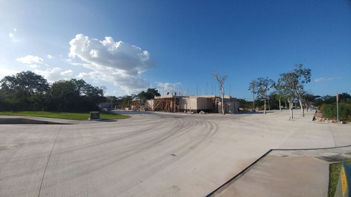 Imagen 6 de 8 de En Venta Lotes Residenciales En Villareal, Mérida