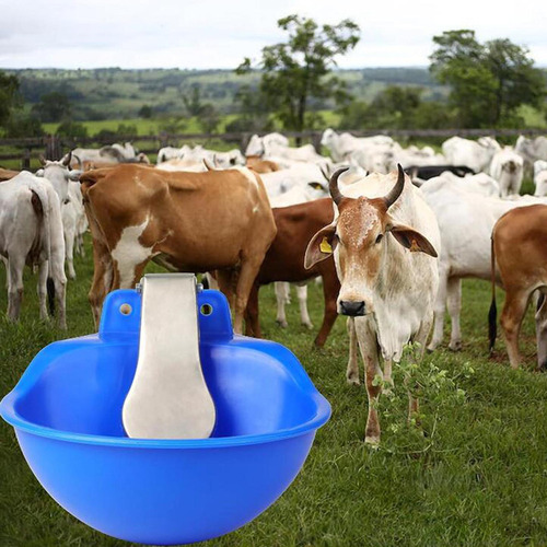 Cuenco Automático De Agua Potable Para Caballos, Bebederos