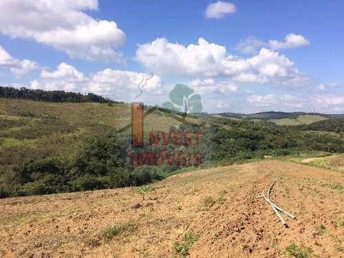 Imagem 2 de 15 de Terreno - Ref: 2310 - V-2310