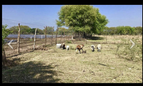 Terreno En Venta En Montemorelos