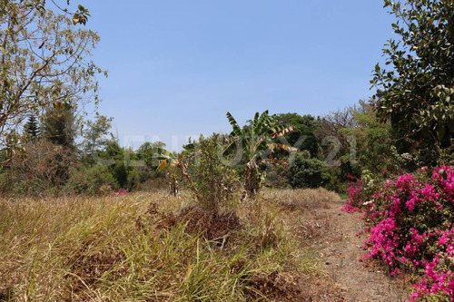 Terreno Campestre En Venta En Colinas De La Joya, Villa De Álvarez