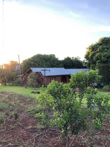 Vendo / Permuto Hermosa Chacra Con Casa - Colonia Alberdi - Misiones