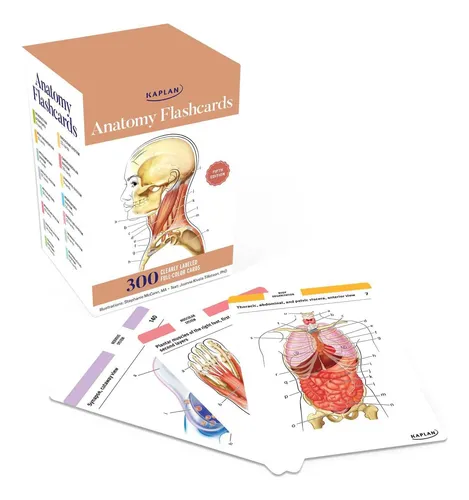 comprar Libro: Tarjetas Didácticas De Anatomía: 300 Tarjetas Didácti