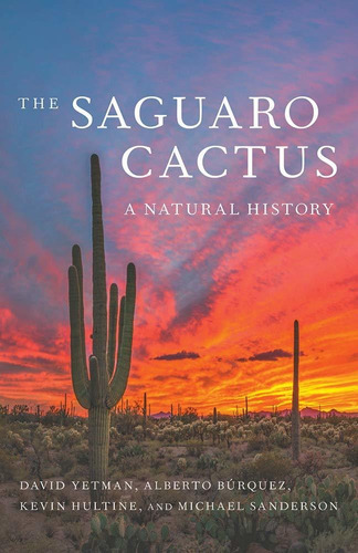 The Saguaro Cactus: A Natural History, De David Yetman. Editorial University Of Arizona Press, Tapa Blanda En Inglés, 2020