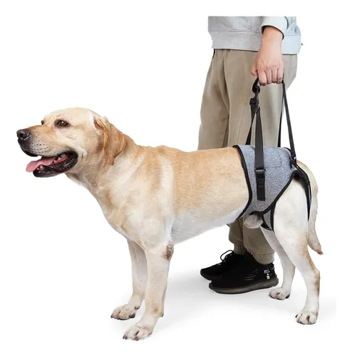 Portabebe para perros new arrivals