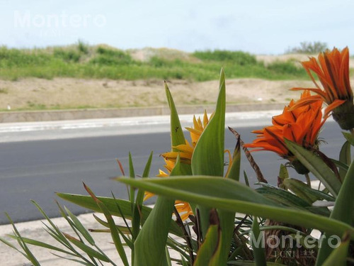 Imagen 23 de 30 de Hotel - Mar De Ajo - Frente A La Playa - Salida A 3 Calles - Gran Estacionamiento - Emprendimiento - Ideal Constructora