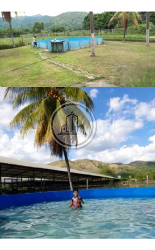 Granja Avicola Oportunidad Única Para Inversión San Francisco De Asis S/ La Molinera 002jsc