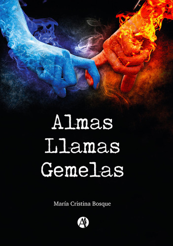 Almas Llamas Gemelas - María Cristina Bosque