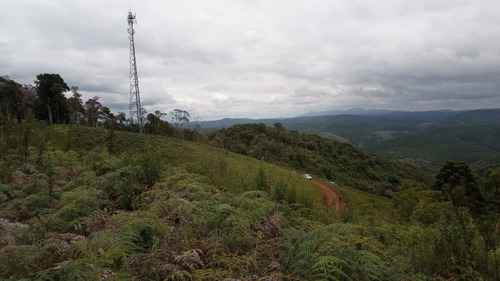 Imagem 7 de 7 de Chacara A 200 Metros Da Br 116