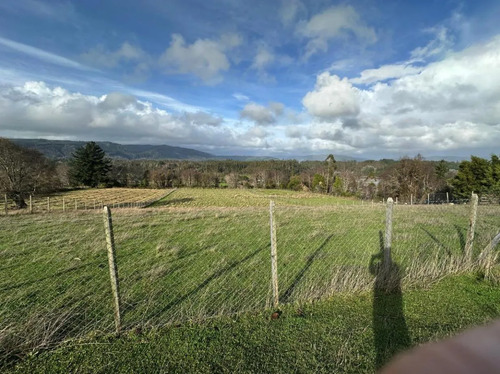 Terreno De 5000 M2 En Cañete, Tranquilidad Y Proyección
