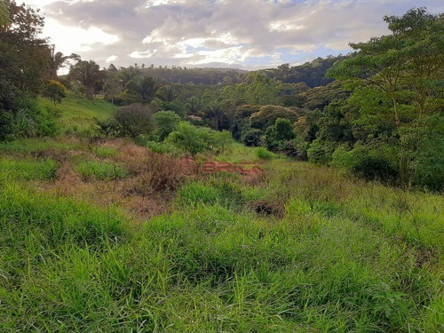 Imagem 15 de 16 de Sítio Com 27 Mil M² Em Sebastiana. - St00195 - 69410699