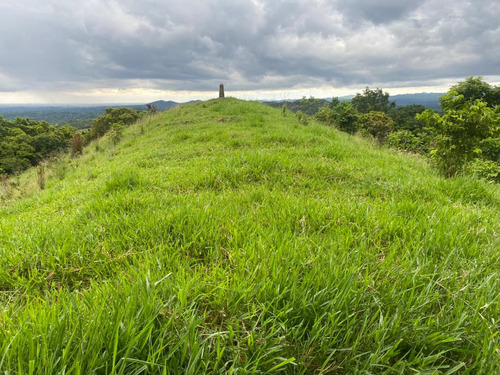 Vendo Hermosa Finca De 1,100 Tareas En Villa Altagracia Ubicada En La Localidad De Blanco