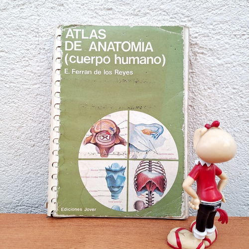 Atlas De Anatomía ( Cuerpo Humano ) / E. Ferran De Los Reyes