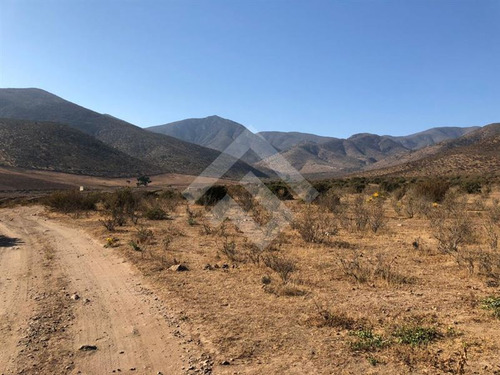 Agrícola En Venta En Andacollo