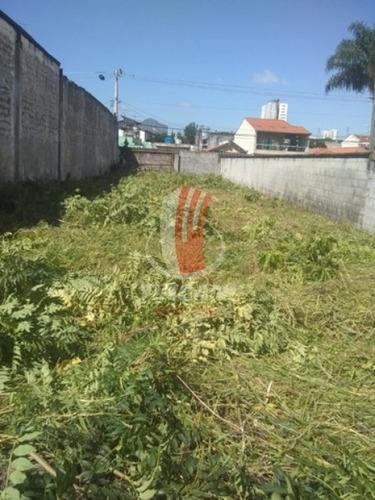 Terreno Amplo No Bairro Jardim Vila Formosa !! - 5916