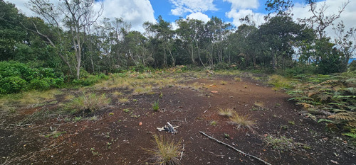 Venta De Lote En Guarne Antioquia Vereda Piedras Blancas