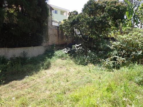 Imagem 7 de 13 de Terreno À Venda, 1025 M² Por R$ 1.500.000,00 - Horto Florestal - São Paulo/sp - Te0048