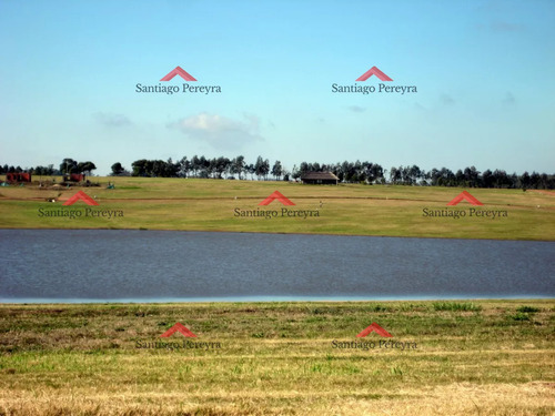 50 Metros De Costa, Acepta Financiacion Sin Interes, Venta, Chacra, Punta Del Este, Uruguay, Laguna De Los Cisnes