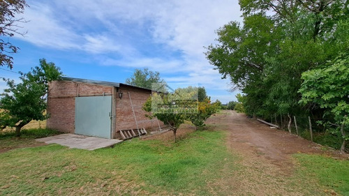 Inversor Vendo Complejo De 3 Cabanas Con 2 Has De Ciruela D'agen Con Tela Antigaranizo, Galpon, Gas, Agua, Luz, Derecho De Riego. Rama Caida, San Rafael, Mendoza.