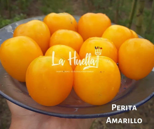 Semillas Agro-ecológicas De Tomates - Reliquias/exóticos