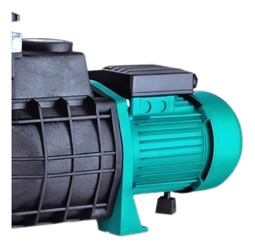 Bomba Para Pileta Fema Con Filtro De Pelo 1hp