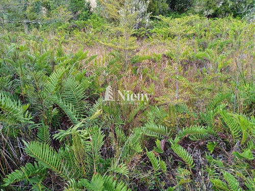 Terreno 5000 Mts En Venta Con Orilla De Estero, Los Muermos
