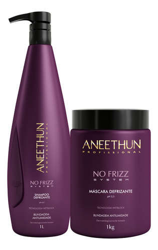 Shampoo Defrizante 1l + Máscara 1kg No Frizz Aneethun