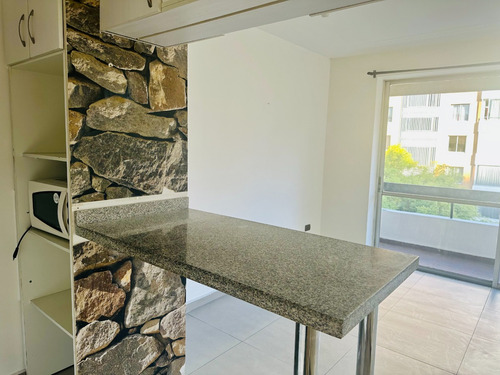 Estudio Con Terraza Vista 3 Cuadras Del Metro En Providencia