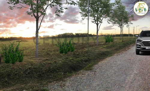 Imagen 5 de 8 de 147 Y 486 - Lote En Venta, Fincas De Gorina