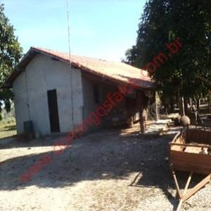 Imagem 6 de 15 de Venda - Fazenda - Zona Rural - Divinópolis Do Tocantins - To - D4827