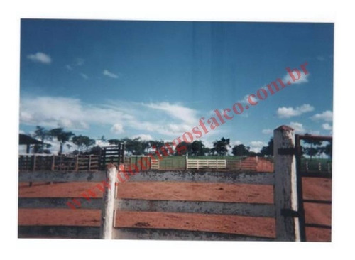 Imagem 5 de 24 de Venda - Fazenda - Zona Rural - Pirapora - Mg - D0342