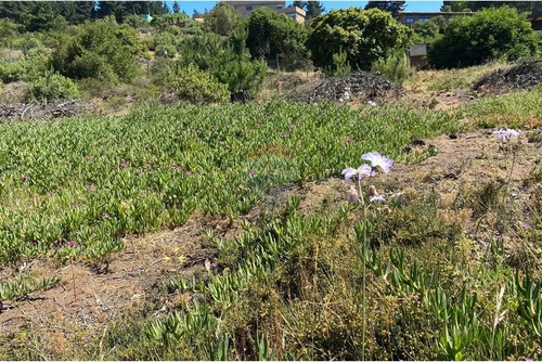 Terreno 1.500m² Alta Plusvalía En Reñaca Los Pinos