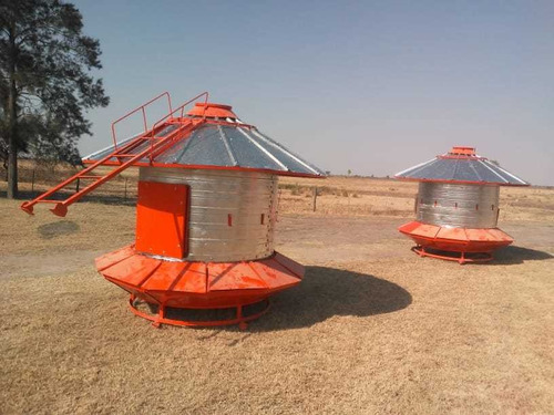 Imagen 4 de 10 de Silo De 60tn Col. Menonita Precio En Pesos
