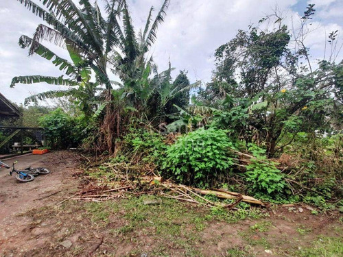 Imagem 5 de 7 de Terreno À Venda, 3575 M² - Morro Das Pedras - Florianópolis/sc - Te0993