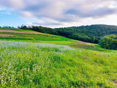Imagem 9 de 15 de 11o- Terreno De 500m2 Em Cotia Agende Sua Visita Via Whatsapp!