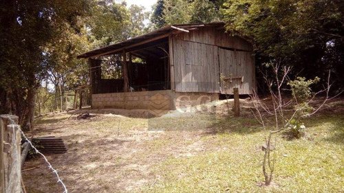 Imagem 3 de 11 de Sítio À Venda, 3600 M² Por R$ 85.000,00 - Águas Claras - Viamão/rs - Si0103
