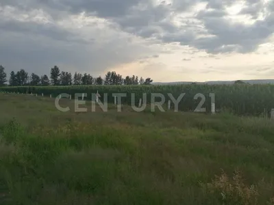 Terreno en renta