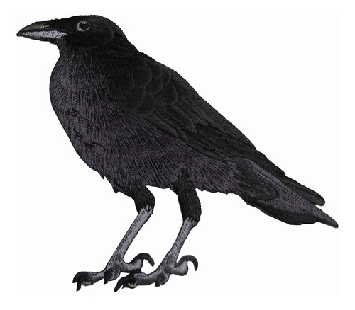 #5107r 5  American Black Crown Raven Bird Bordado Iron ...