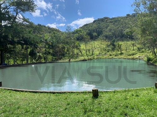 Imagem 15 de 30 de Lindo Sitio, Com 03 Nascentes! Ideal Para Lazer E Criação. - 118 - 69225614